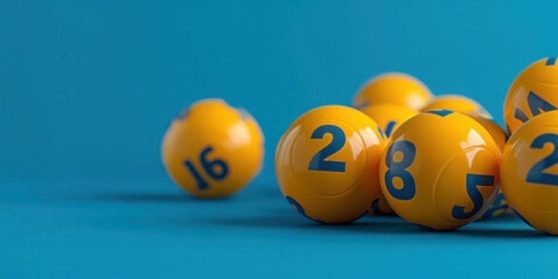 bạch thủ lô hôm nay